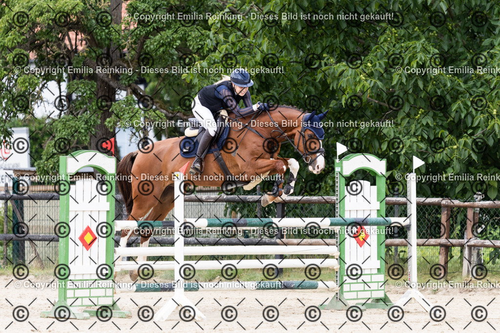 CL5A8321 | Emilia Reinking Fotografie - Realisiert mit Pictrs.com