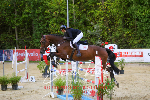 IMG_6211 | Turniersportfotografie; Pferdefotografie; Dressurfotografie