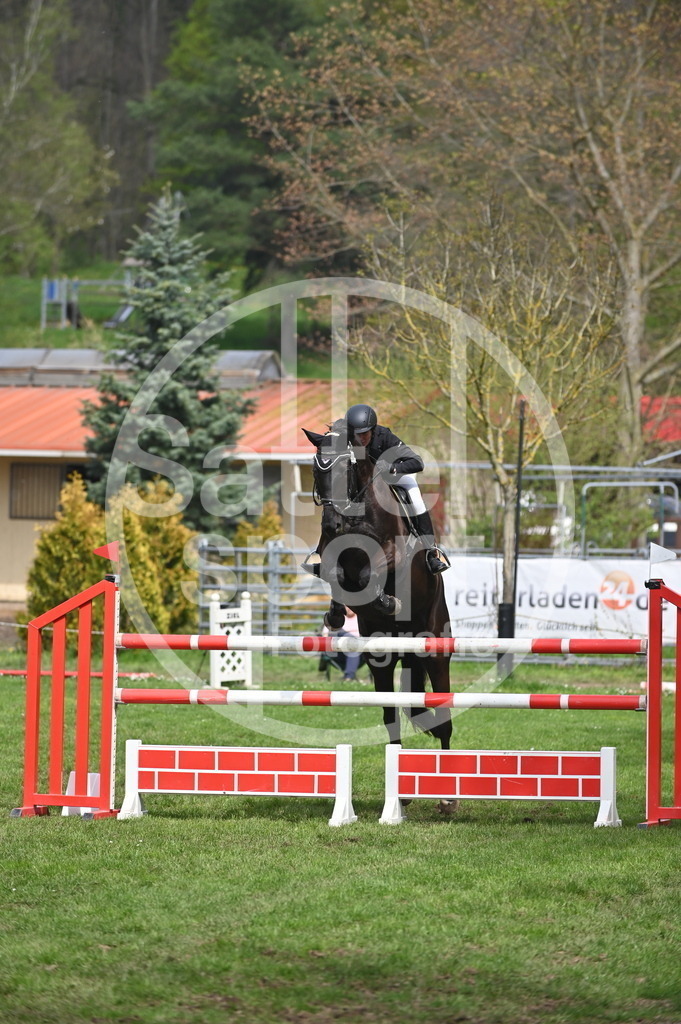 DSC_3967 | sattelsport - Realisiert mit Pictrs.com