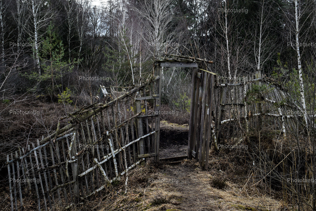 IMG_8293 | phototaetig