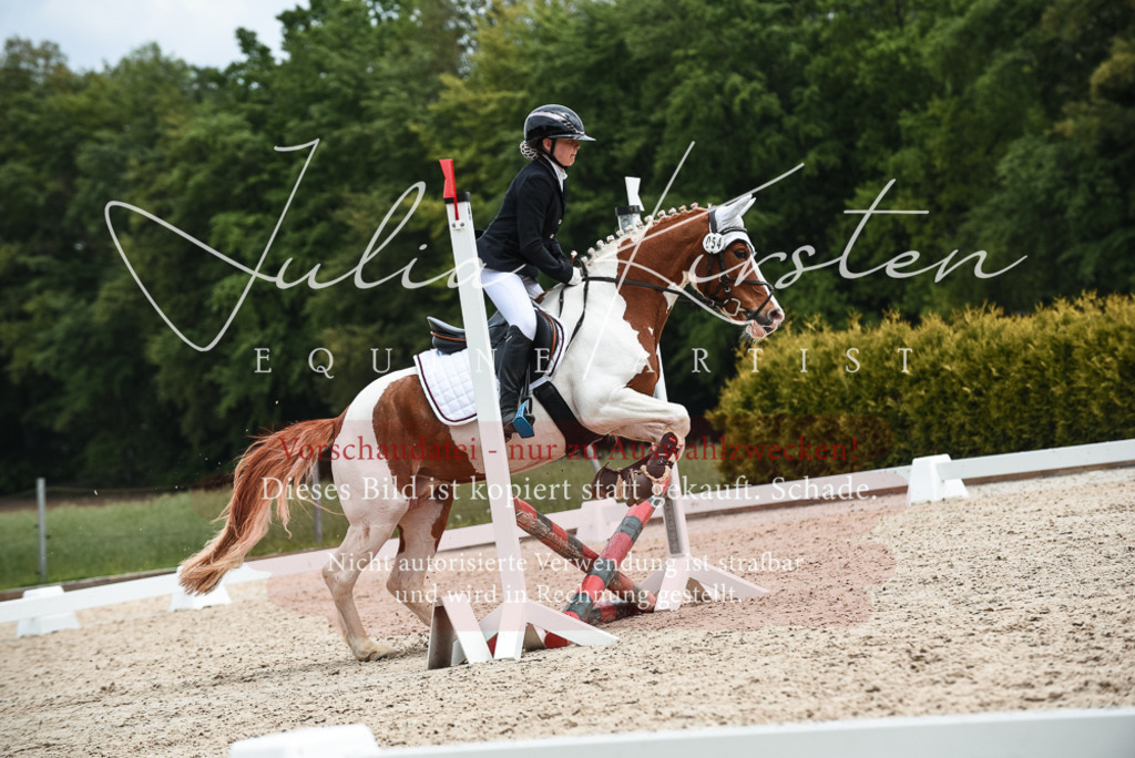 20230518_JK-Röhrsdorf-10-659 | Pferde- und Turnierfotografie in Westsachsen. Pferdeportraits, Auftragszeichnungen und intuitive Kunst.