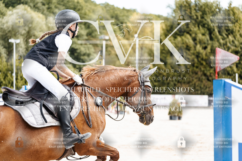 CK906536 | Turnierfotografie Pferdefotografie Trier Rheinland-Pfalz Pferdesport Reitsport Tierfotografie Sportfotografie Pferdevideo Pferdevideografie Equestrianvideography equestrianphotography  - Realisiert mit Pictrs.com