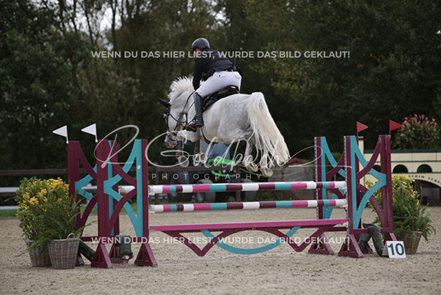 1J2A1523Klas-Kristoff Kudlinski_ Murphy me BE_ Kn758_ Havekost | Foto- und Videografie für alles rund ums Pferd. Hochwertige Bilder und Videos vom Spring- und Dressurreiten, Voltigieren & mehr. Jetzt aktuelle Veranstaltungen und Preise im Shop ansehen. - Realisiert mit Pictrs.com