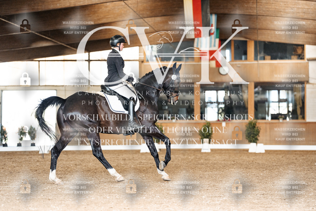 CK901871 | Turnierfotografie Pferdefotografie Trier Rheinland-Pfalz Pferdesport Reitsport Tierfotografie Sportfotografie Pferdevideo Pferdevideografie Equestrianvideography equestrianphotography  - Realisiert mit Pictrs.com