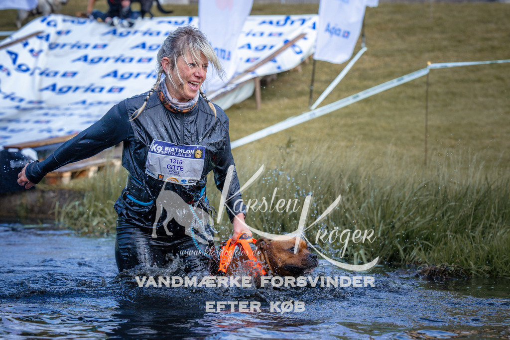 _ZZ972330742 | kk-dogfotos