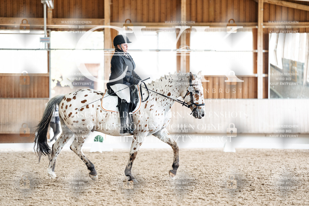 CK901176 | Turnierfotografie Pferdefotografie Trier Rheinland-Pfalz Pferdesport Reitsport Tierfotografie Sportfotografie Pferdevideo Pferdevideografie Equestrianvideography equestrianphotography  - Realisiert mit Pictrs.com
