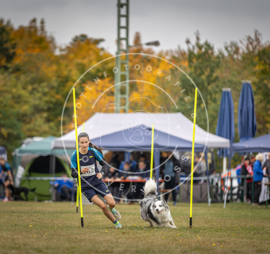 Pfotenfotografie_DV3A5147 | Hundefotografie, Tierfotograf, Pfotenfotografie, Fotoshooting Hund, Hunde Portrait, Hundesport, Hundeportraits, Heideshooting, Hunde, Sportfotograf, Hundefotograf, Turnierhundsport, THS,  - Realisiert mit Pictrs.com