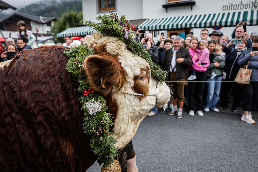 Rupertifest_Flachau_2k25_Webauflösung-157 | Bildershop Chri Fischbacher - Realisiert mit Pictrs.com