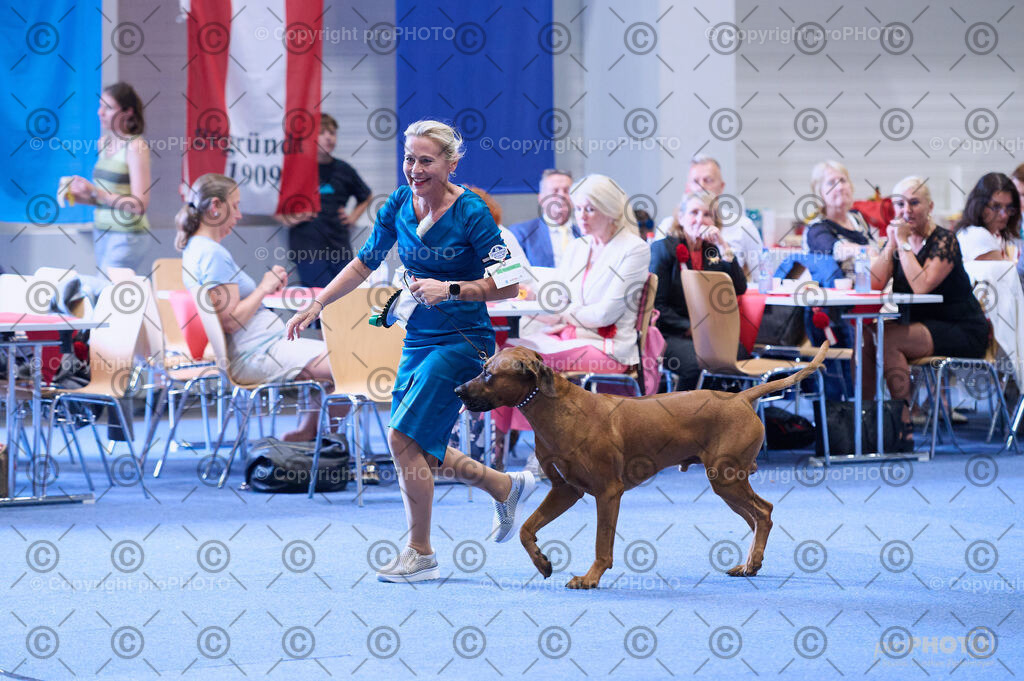 202406_ÖKV-IHA-Tulln24_DSC_4075 | proPHOTO - Realisiert mit Pictrs.com