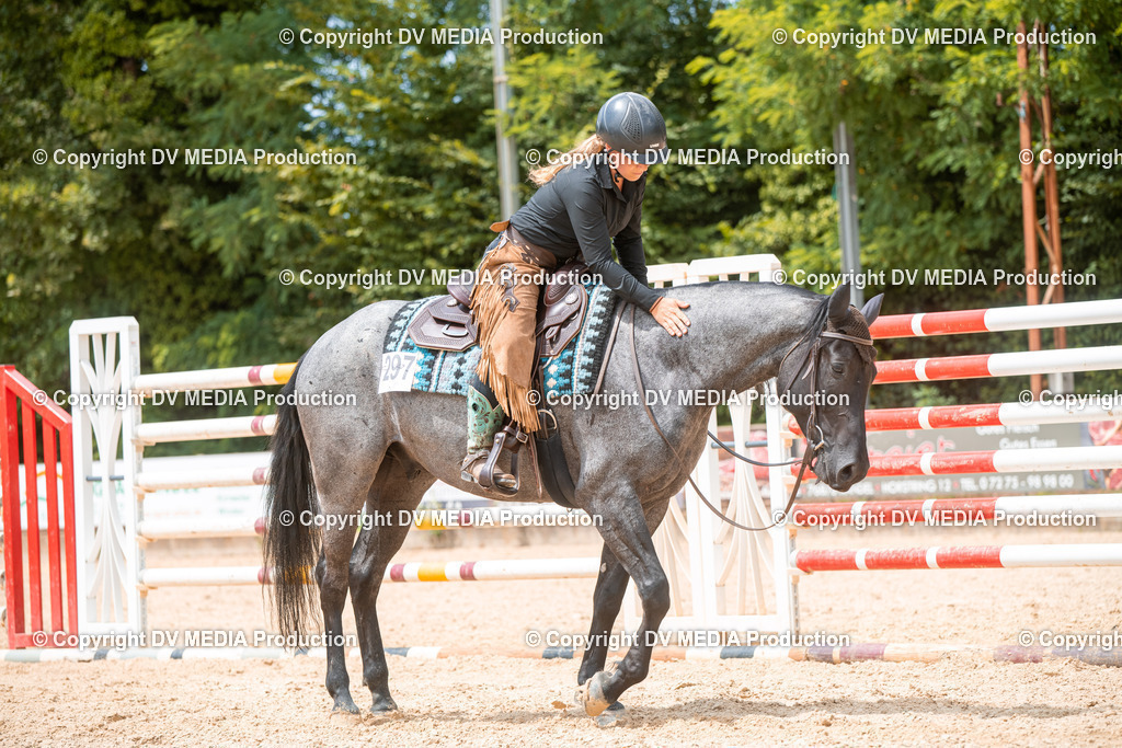 EWP_6479 | dv-media-shop - Realisiert mit Pictrs.com