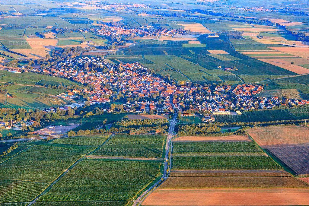 Luftbild: Dorfansicht aus Osten an der Ausfahrt A65 in Insheim im Bundesland Rheinland-Pfalz in Deutschland.Foto: IMG_44291.jpg vom 20.08.2011 durch Werner Riehm/FLY-FOTO.deAuflösung des Originals: 4752 x 3168 px