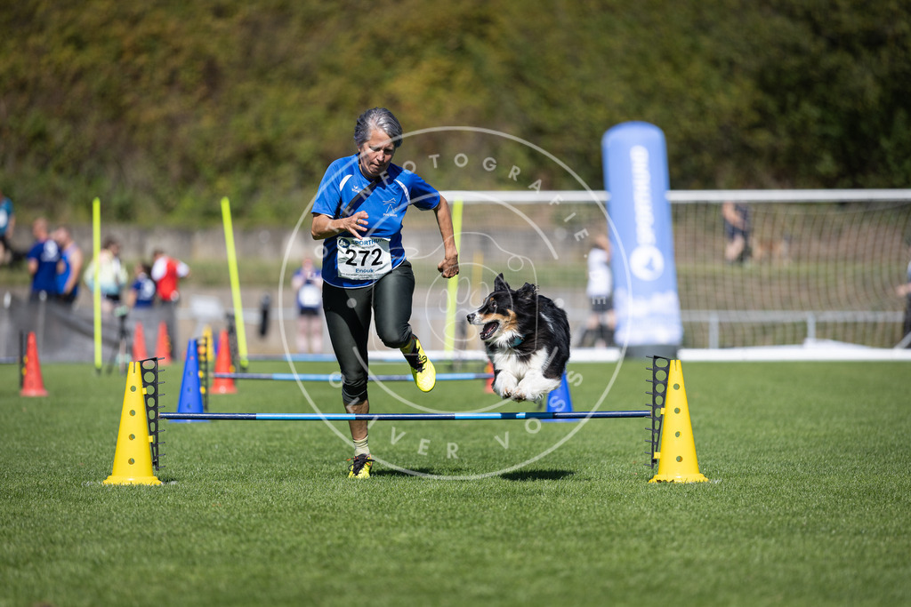 Pfotenfotografie_DV3A6868 | Hundefotografie, Tierfotograf, Pfotenfotografie, Fotoshooting Hund, Hunde Portrait, Hundesport, Hundeportraits, Heideshooting, Hunde, Sportfotograf, Hundefotograf, Turnierhundsport, THS,  - Realisiert mit Pictrs.com