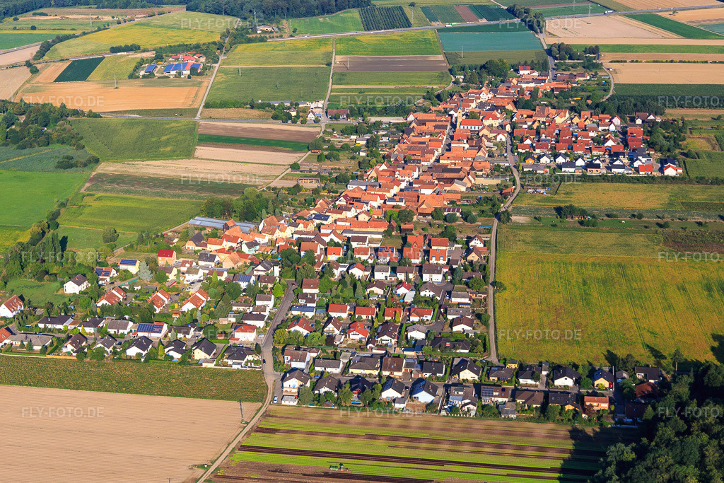 Luftbild: Dorfansicht von Nordosten in Erlenbach bei Kandel im Bundesland Rheinland-Pfalz in Deutschland. Foto: IMG_109633.jpg vom 31.07.2018 durch Werner Riehm/FLY-FOTO.de