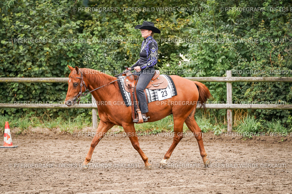 DSC05013 | Pferdegrafie