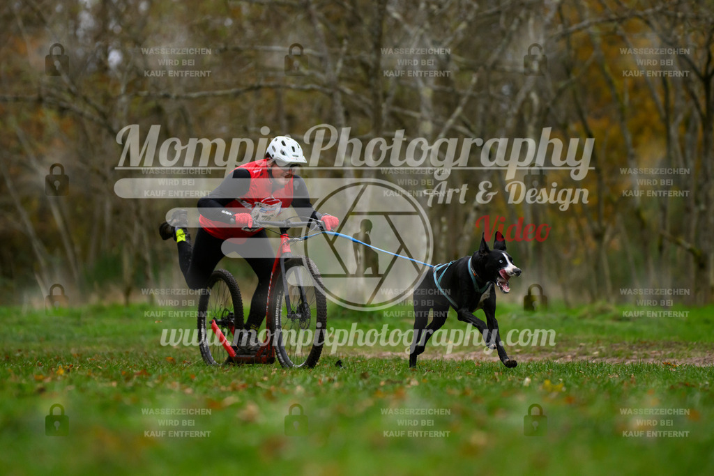 MompixPhotography_Bischwiller24_SA_DS1-12 | PayLife
