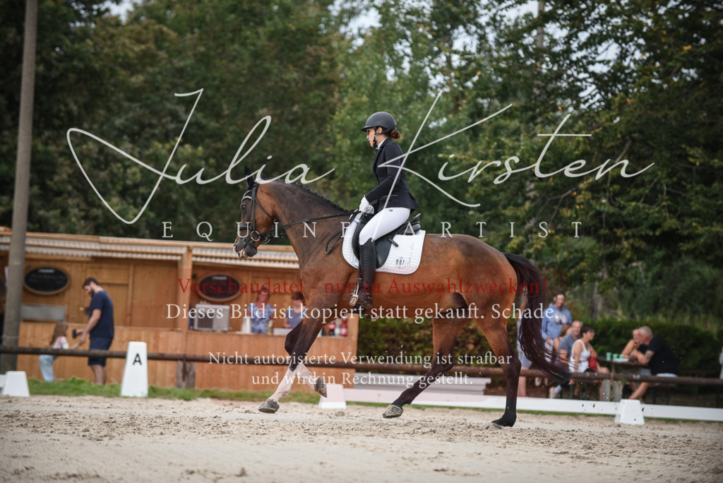 DSC_8545 | Pferde- und Turnierfotografie in Westsachsen. Pferdeportraits, Auftragszeichnungen und intuitive Kunst.
