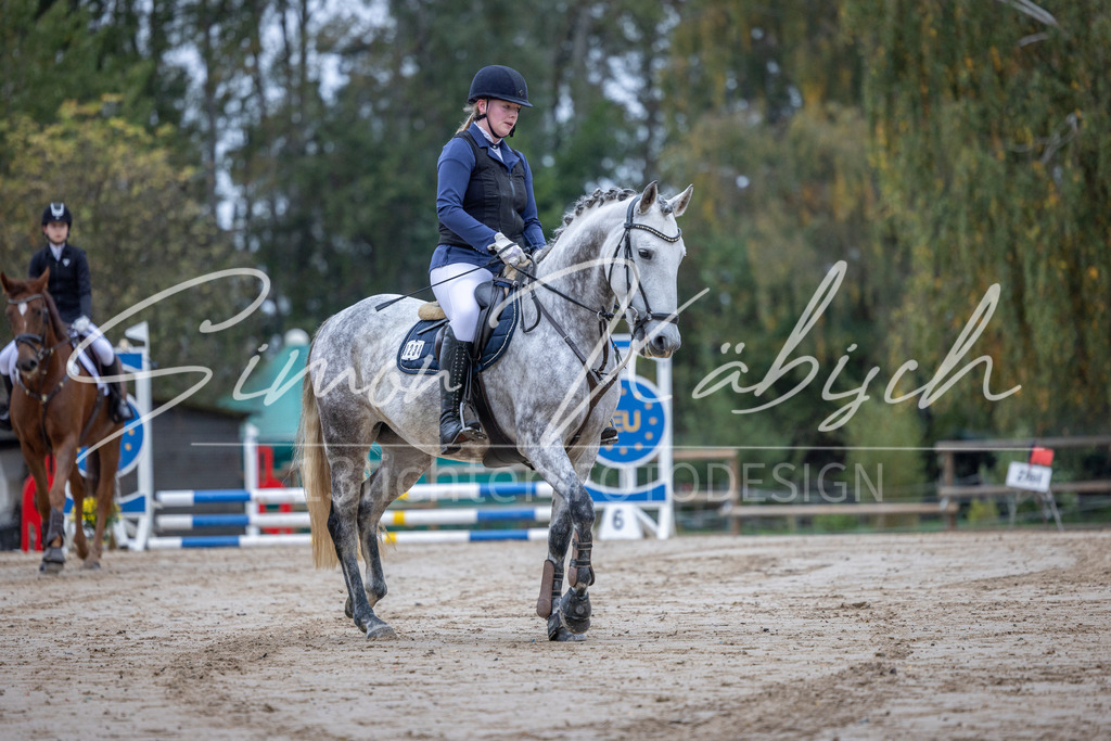 20251012-_3LI2451 | Tierfotografie Pferde, Hunde, Katzen, Haustiere.
Turnierfotografie Reitturniere, Reiten, Springreiten, Dressur in Hanau, dem Main-Kinzig-Kreis und dem Rhein-Main- Gebiet um Frankfurt