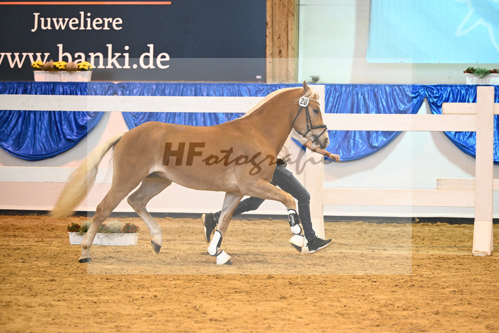 Kat-Nr. 20 nn v. Bugatti_Hock_60220331 | hf-fotografie - Realisiert mit Pictrs.com