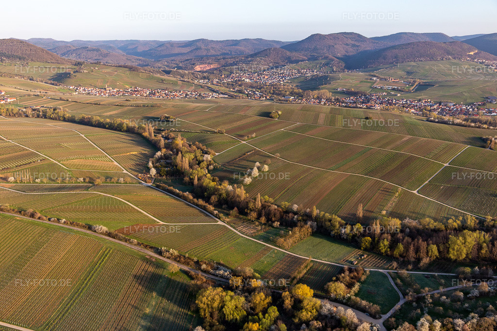 Luftbild: Ranschbachtal in Ranschbach im Bundesland Rheinland-Pfalz in Deutschland. Foto: IMG_126242.jpg vom 04.04.2021 durch Werner Riehm/FLY-FOTO.de