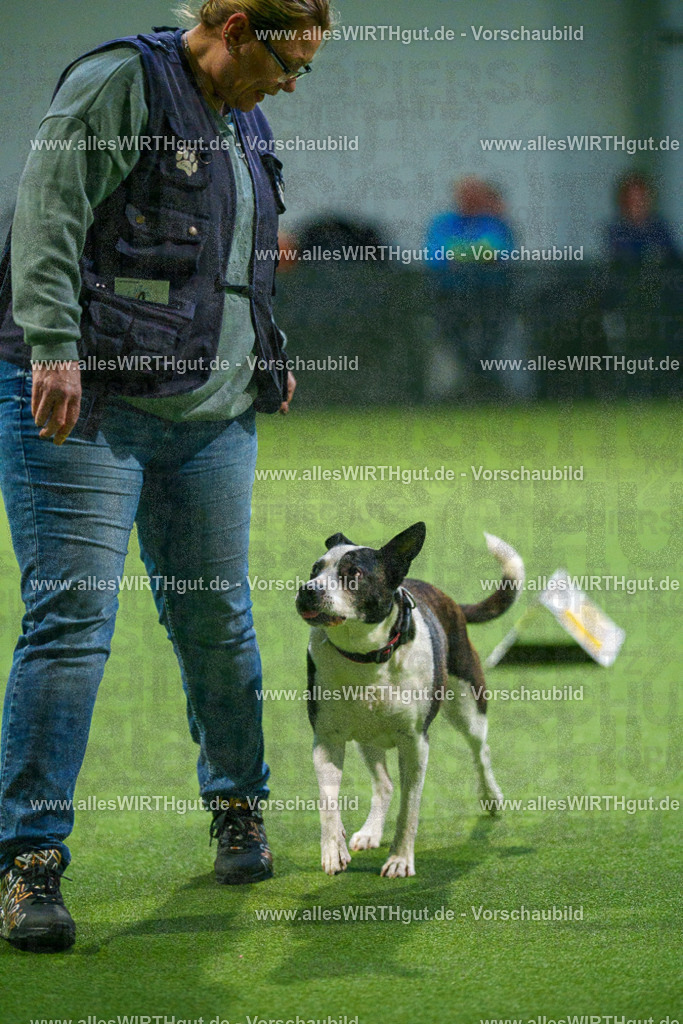 7R509860 | Professionelle Tierfotografie in Mönchengladbach von Daniel Wirth (allesWIRTHgut). Liebevolle & natürliche Bilder von Hunden & Katzen für unvergessliche Erinnerungen.