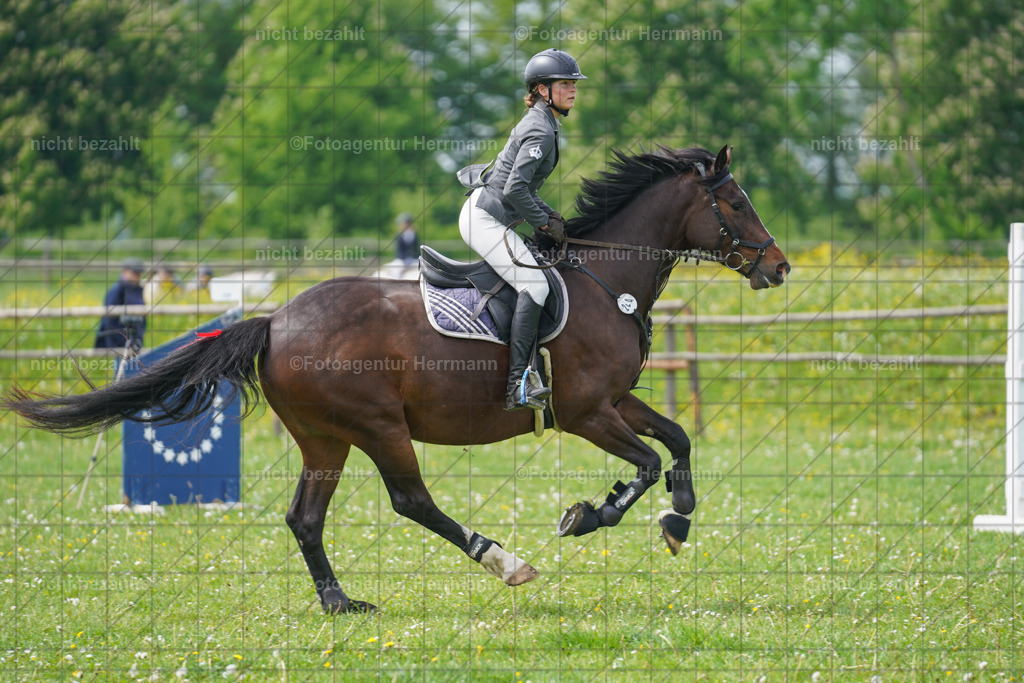 20240509-FAH02782 | Turnierbilder der Turnierfotografen Bayern, Pferdesport Fotografie, Reitsportbilder, Turnier Landberg am Lech, Turnierbilder bayern, Fotoagentur Herrmann