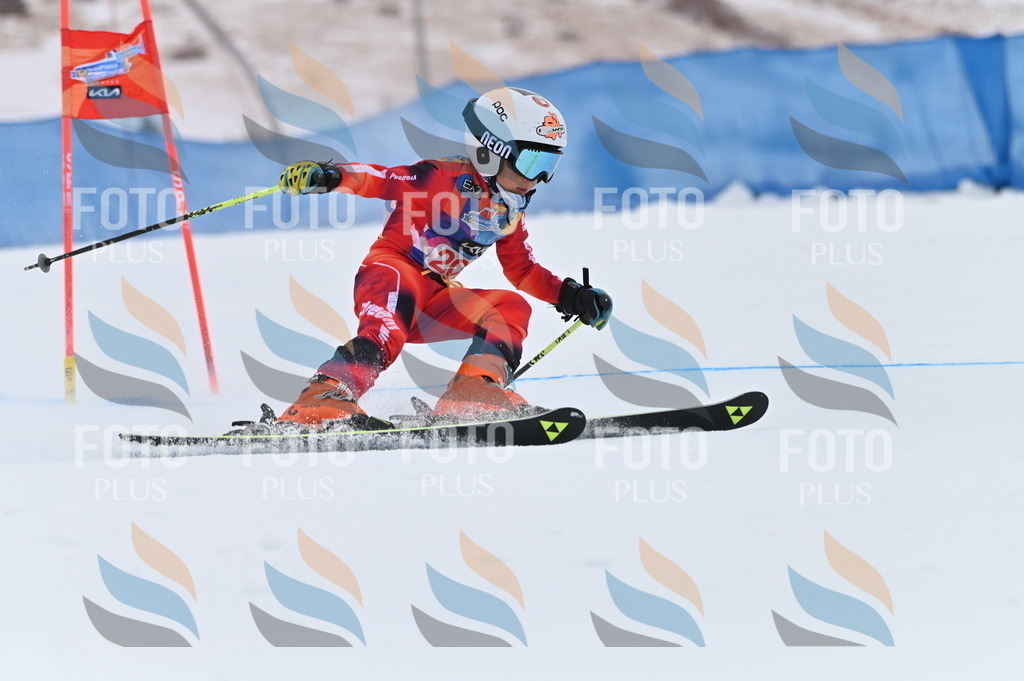 BGV_2041 | holidayphoto