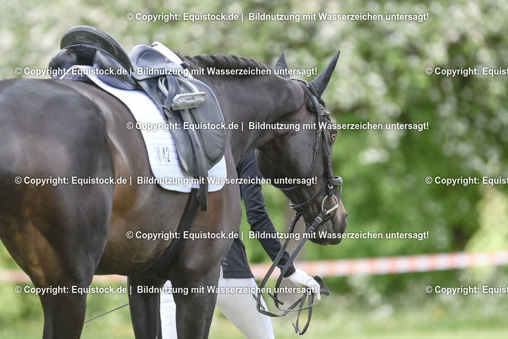 TS_20250516_Impressionen_0084 | Foto: Thomas Hartig