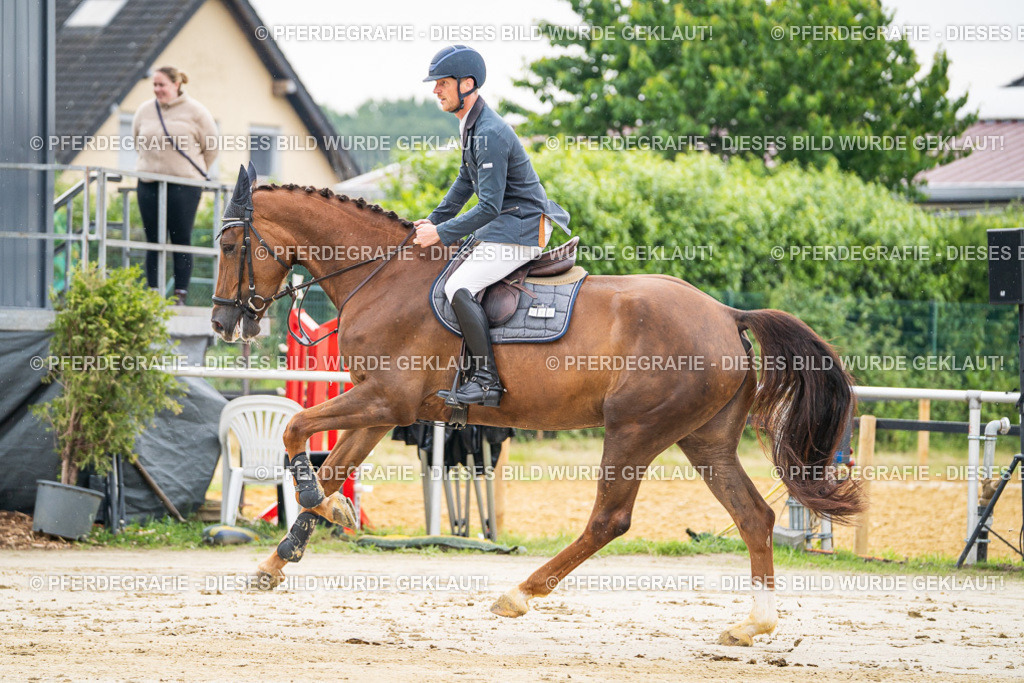 DSC09333 | Pferdegrafie