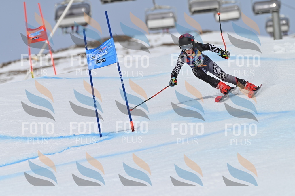 BGV_4638 | holidayphoto