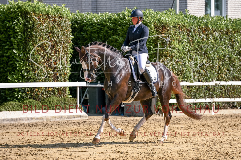 Schugtsche-Aluta25-52.Dressurprf.M2Kand-388 | Schugtsche Fotografie - Realisiert mit Pictrs.com