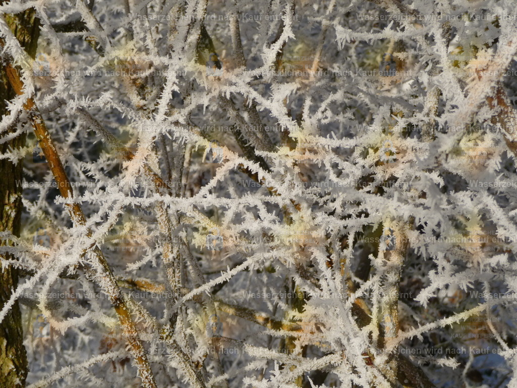 P1000215 | Fotoseite Wolkenblende - Das Hobby fotografieren begleitet mich schon  viele  Jahre. Auf den nächsten Seiten zeige ich ein paar Schnappschüsse der letzten Jahre und es kommen immer neue hinzu. Schau einfach mal rein. - Realisiert mit Pictrs.com