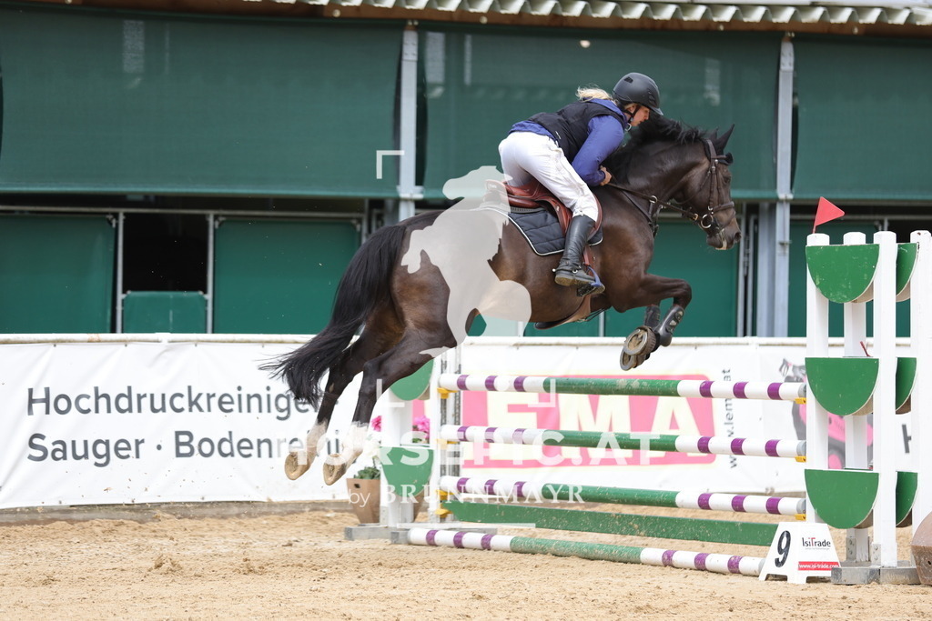 0P6A4536 | Willkommen bei Brunnmayr - Design & Fotografie – Ihrem Spezialisten für Reitturniere und Pferdeveranstaltungen in Oberösterreich, Salzburg und Bayern! Seit über 17 Jahren sind wir leidenschaftlich dabei.