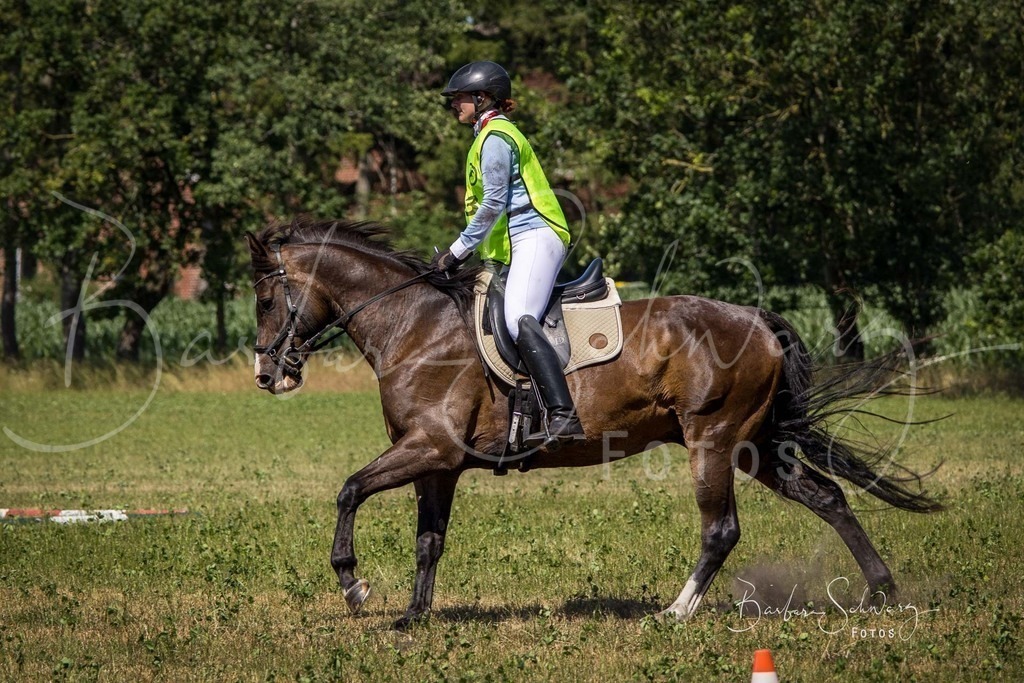 CJP_2026-06-26_104 | Stimmungsvolle Fotografie von Pferden, fotografische Begleitung von Veranstaltungen, Golfturnieren und Distanzritten - Realisiert mit Pictrs.com