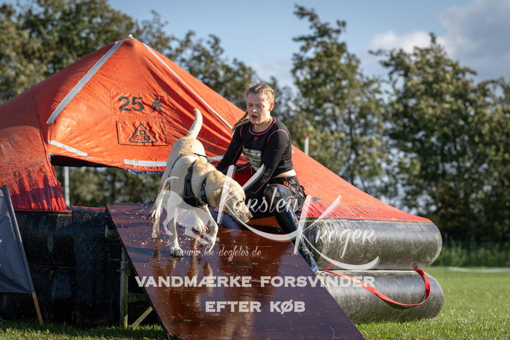 1447-94989 | kk-dogfotos