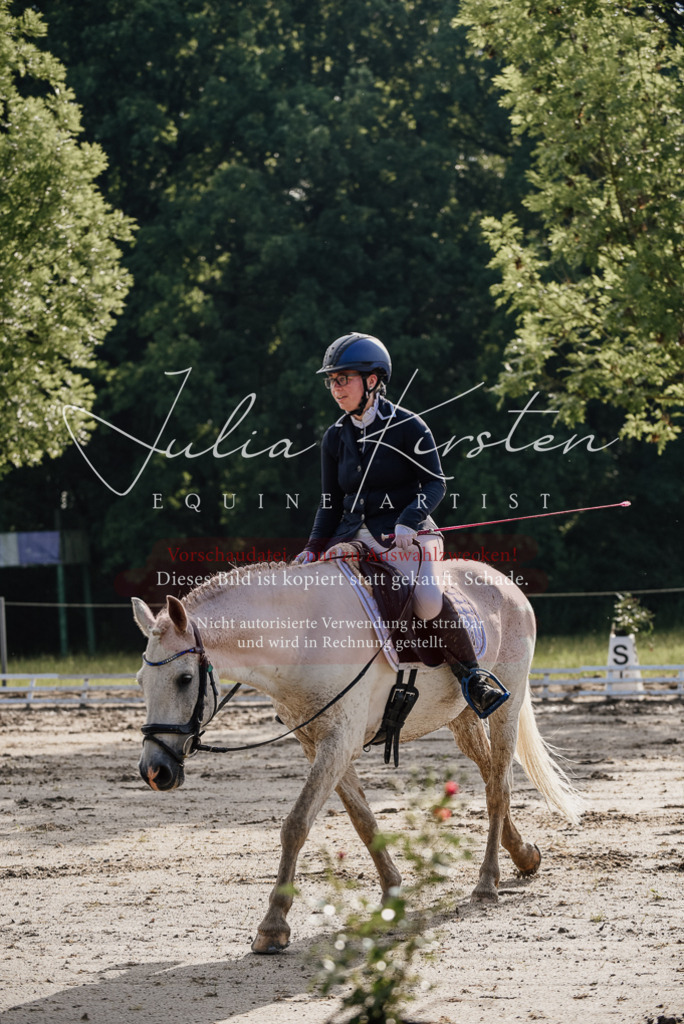 DSC_8076 | Pferde- und Turnierfotografie in Westsachsen. Pferdeportraits, Auftragszeichnungen und intuitive Kunst.