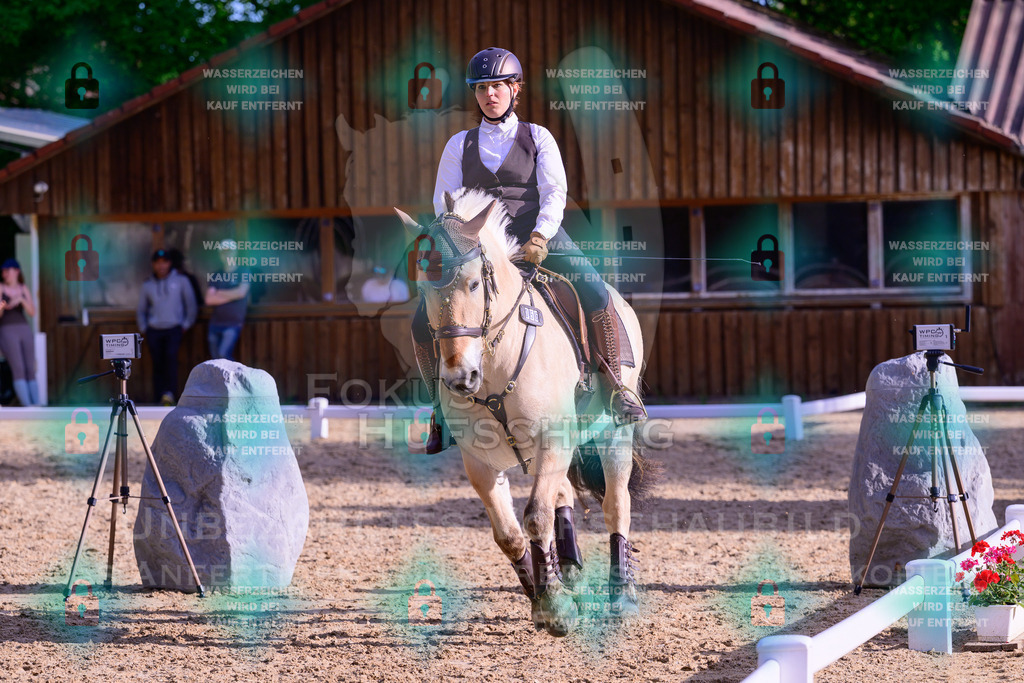 02052026-Giesenbach-03-Speedtrail-0192 | Fokus Hufschlag Fotografie - Realisiert mit Pictrs.com