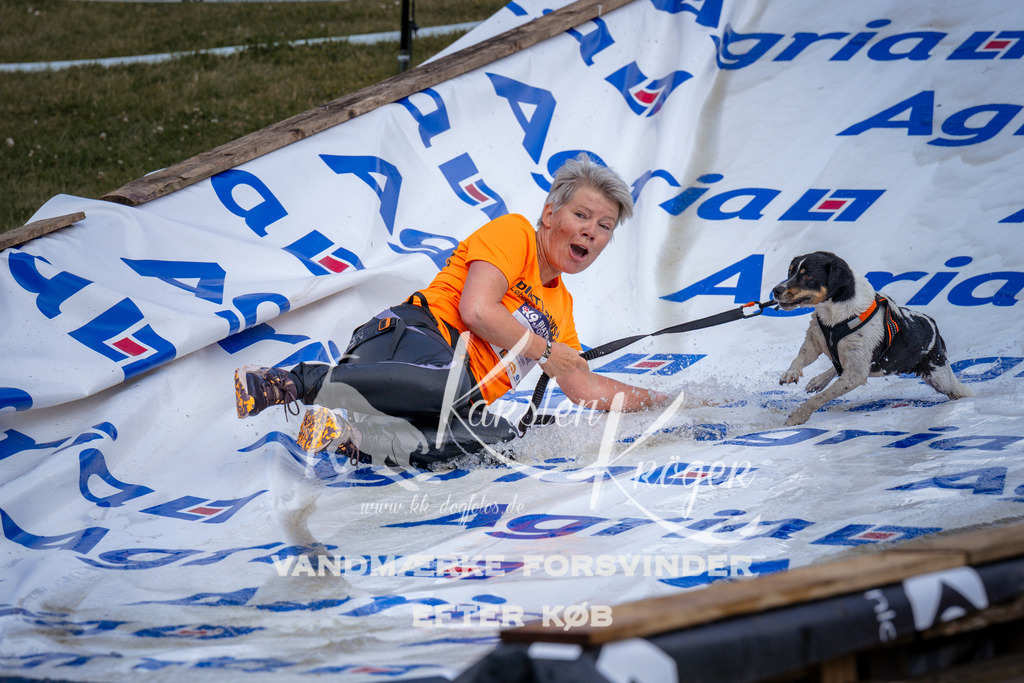 _ZZ917980918 | kk-dogfotos