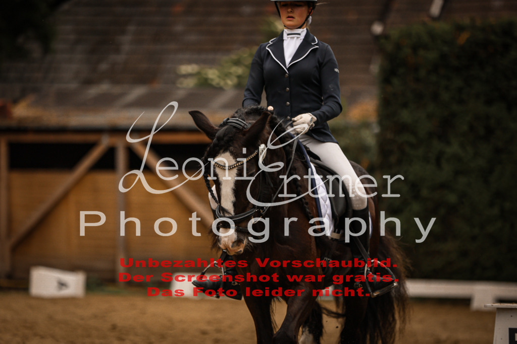 DoDrE00310 | Leoni Ertmer Photography - Realisiert mit Pictrs.com