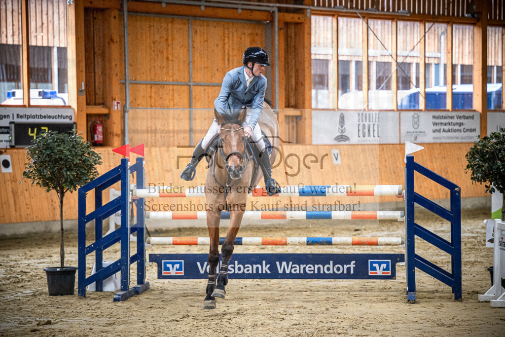 DOS_0601 | Entdecke hochwertige Reitturnierfotos von Foto Oger. Professionell, emotional und authentisch – jetzt Lieblingsmomente im Shop bestellen.Deutschlandweite Turnierfotografie. - Realisiert mit Pictrs.com