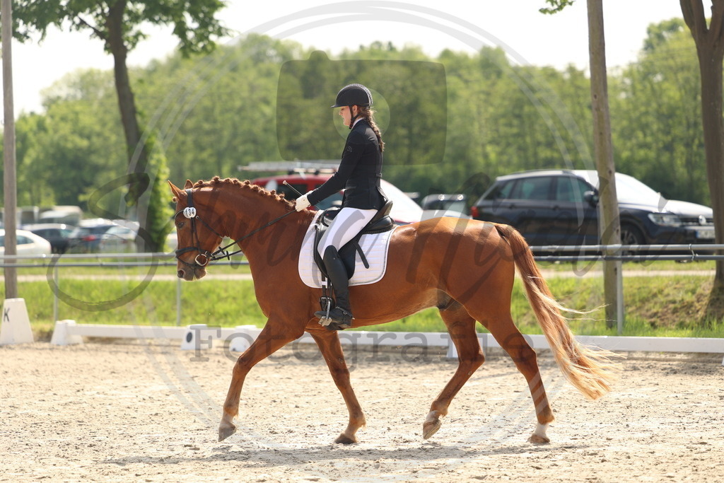 994A6685 | sabrinanicolaifotografie - Realisiert mit Pictrs.com