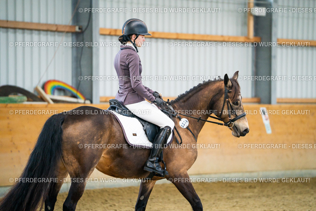 DSC00570 | Pferdegrafie