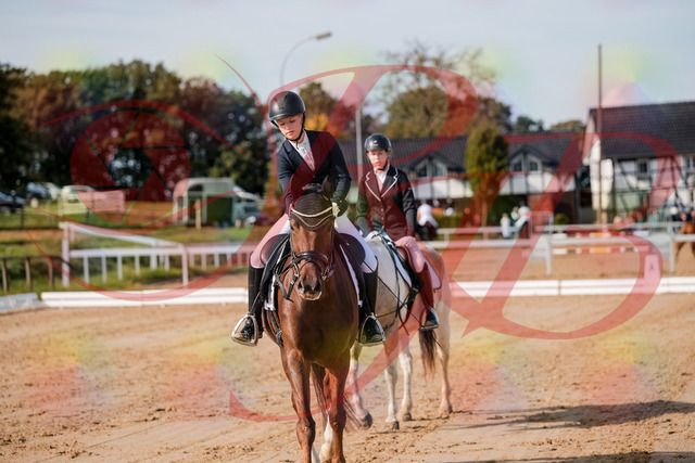 2026_10_03_Siefer-Hof_115213_Z63_29885244 | Professionelle Reitsport-, Turnier- und Eventfotografie von Robert Broda. Galerien mit ausgewählten und bearbeiteten Bildern direkt online ansehen und bestellen.