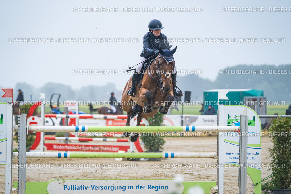 DSC00066 | Pferdegrafie