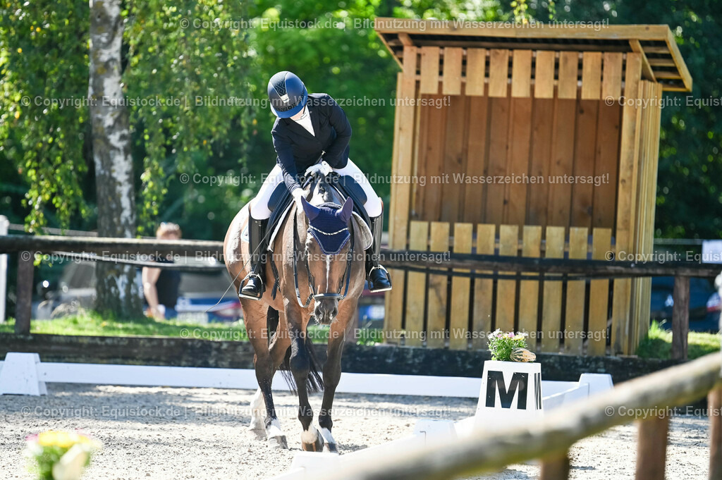 20230908_06_Dressur-L-Trense_0472 | equistock