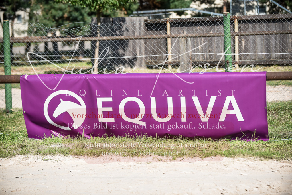 DSC_9700 | Pferde- und Turnierfotografie in Westsachsen. Pferdeportraits, Auftragszeichnungen und intuitive Kunst.