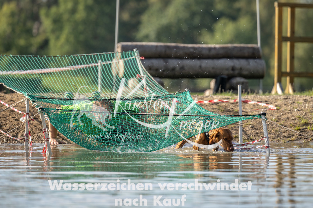 1307_ZZ94706 | kk-dogfotos
