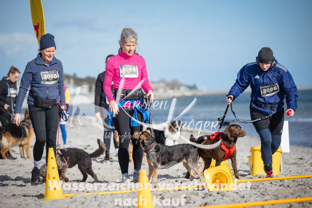 1347_ZZ93520 | kk-dogfotos
