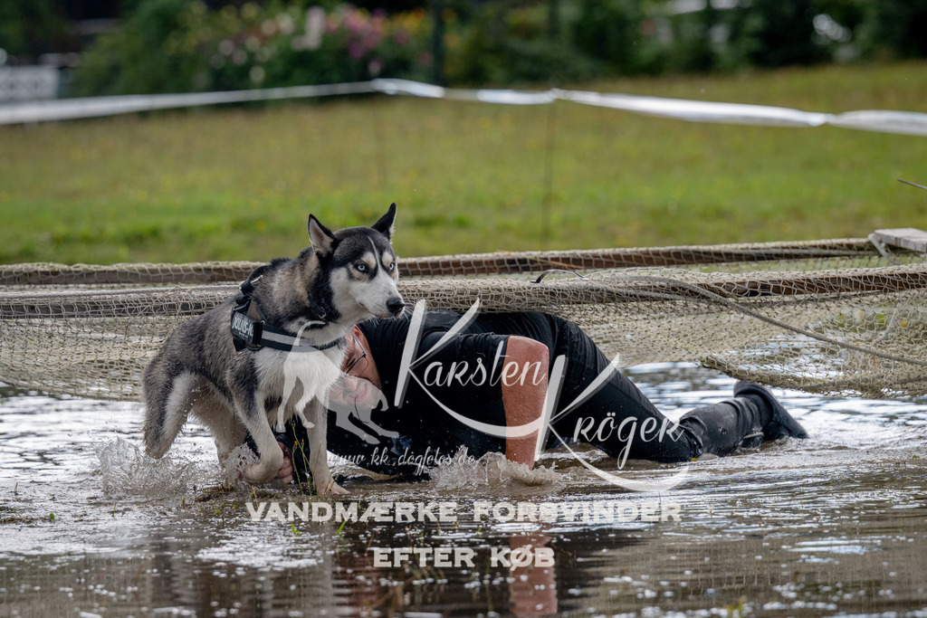 1402_ZZ90929 | kk-dogfotos