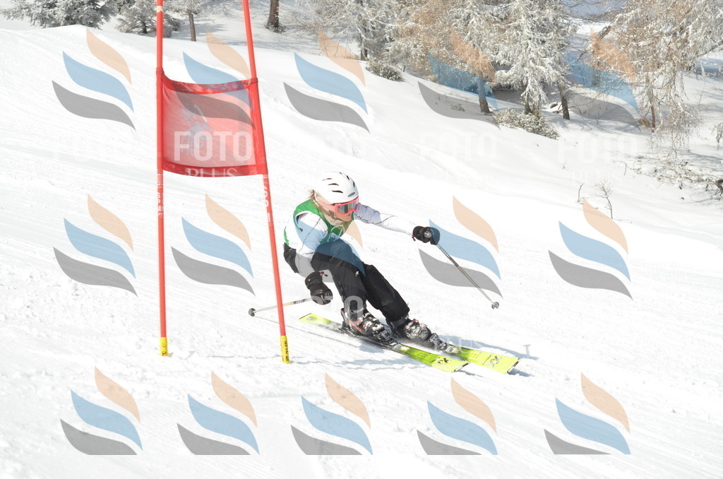 D8908 | holidayphoto