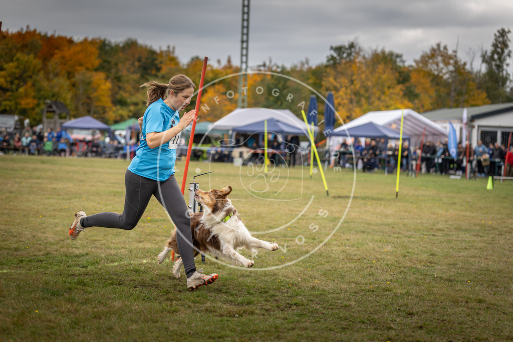 Pfotenfotografie_DV3A7615 | Hundefotografie, Tierfotograf, Pfotenfotografie, Fotoshooting Hund, Hunde Portrait, Hundesport, Hundeportraits, Heideshooting, Hunde, Sportfotograf, Hundefotograf, Turnierhundsport, THS,  - Realisiert mit Pictrs.com